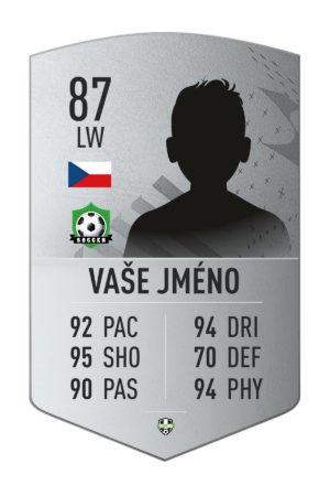 FutCard: Fotbalový dárek pro hráče a fanoušky – Vlastní fotbalová karta - Neraritní stříbrná